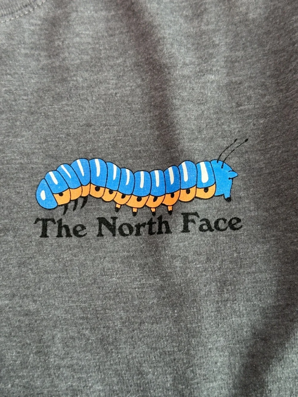 The North Face gray north